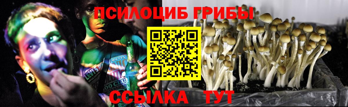 Галлюциногенные грибы Magic Shrooms  Галлюциногенные грибы мицелий  Кемерово  Вход с VPN 