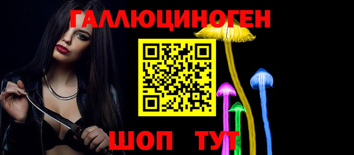 Галлюциногенные грибы Psilocybine cubensis Кемерово